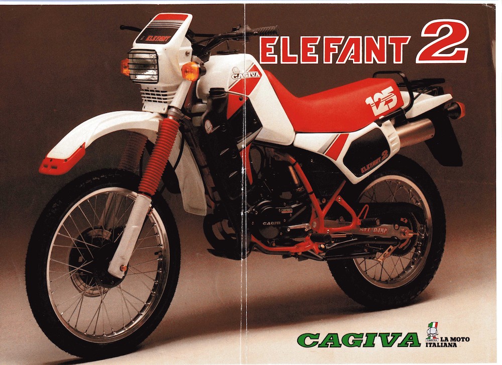 Elefant 2