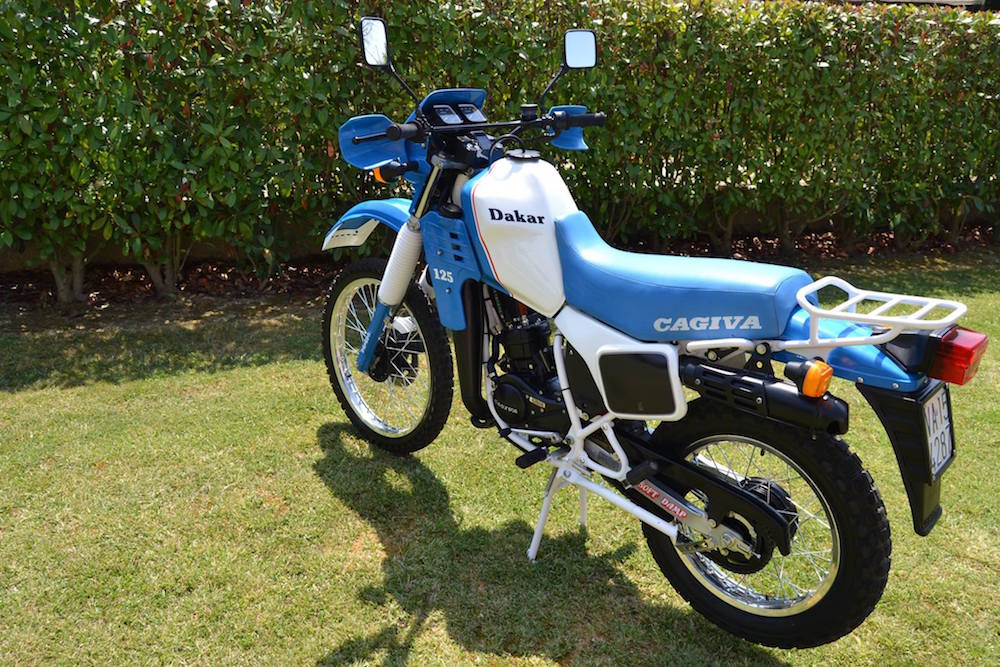 elefant-dakar-3