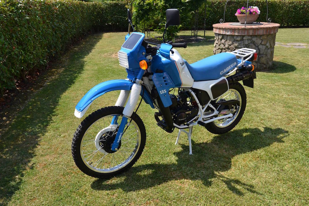 elefant-dakar